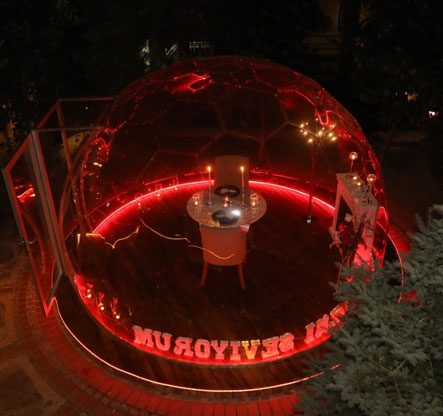 Fanus Evlilik Teklifi